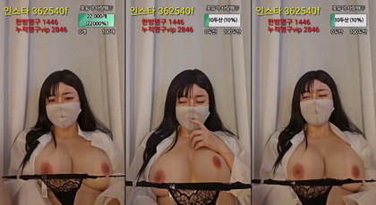 KBJ-24012256